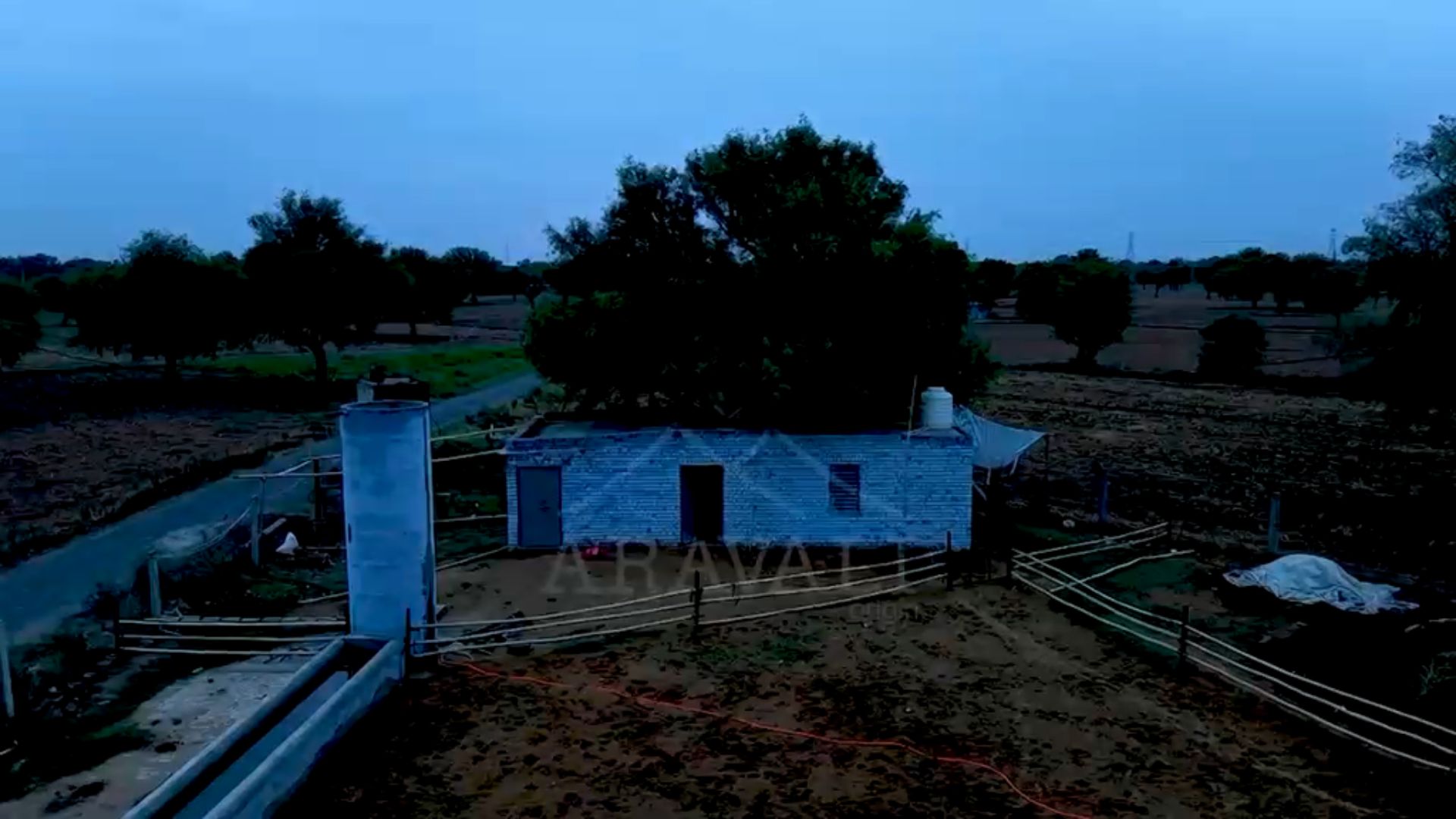 Aerial view of the Aravali Origin farm at dawn, the opening frame of the ghee-making film